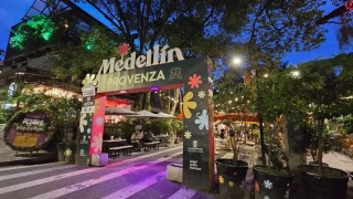 Provenza Street Medellín: The Complete Guide to El Poblado's Coolest Block