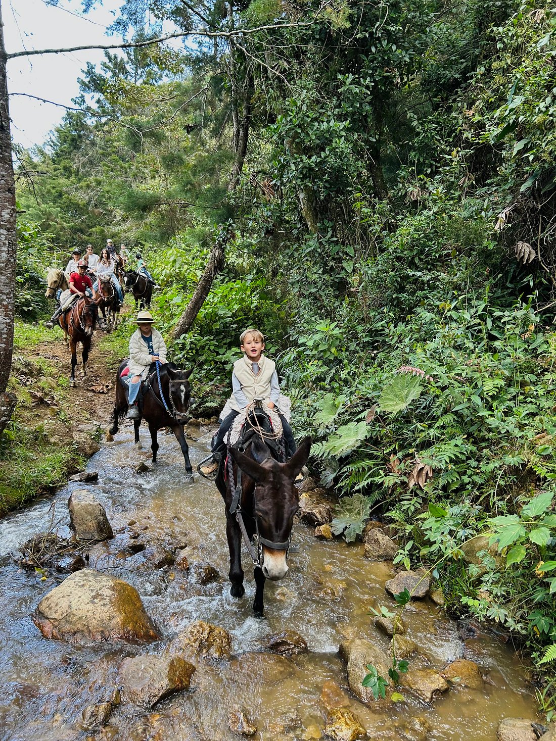 Horseback Riding